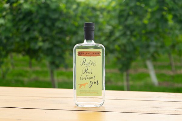 Ashling Park Pointer's Pour Botanical Gin - Image 2