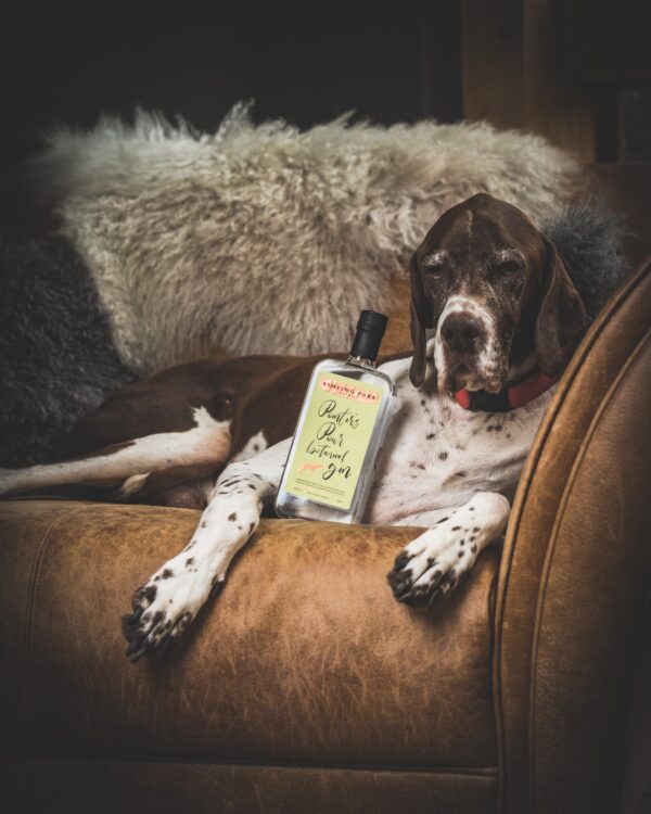 Ashling Park Pointer's Pour Botanical Gin - Image 3