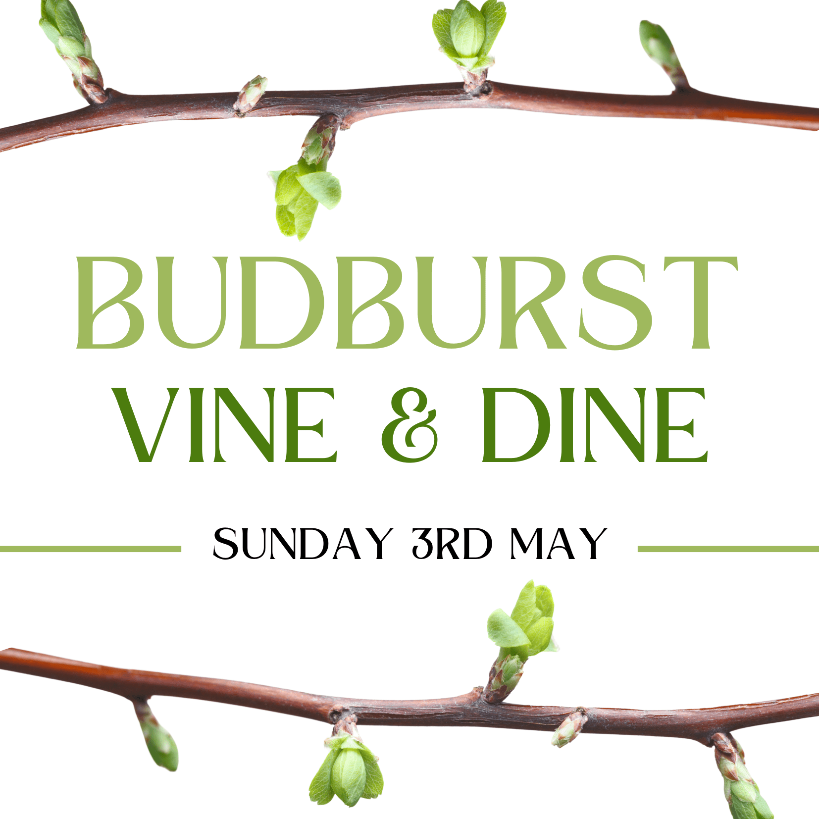 Valentines day set up 